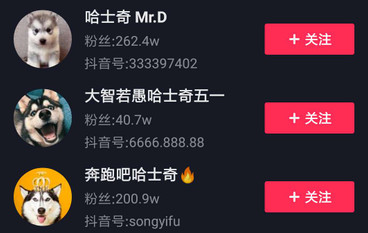 哈士奇短視頻營(yíng)銷策劃
