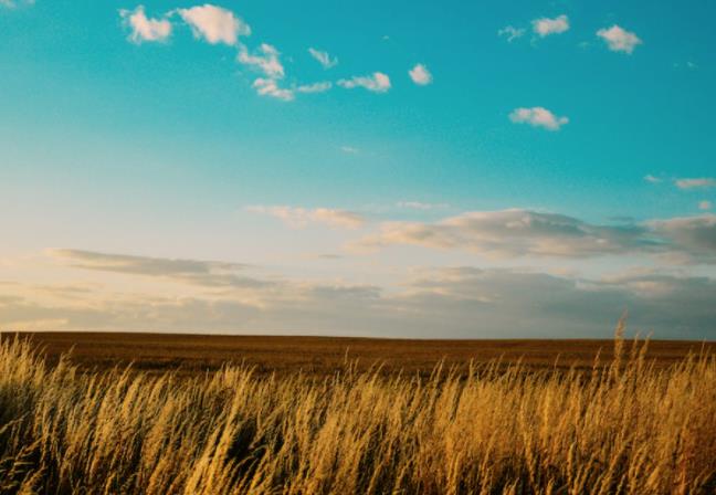 上海短視頻代運營公司如何構建私域流量