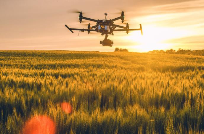 農業發展戰略策劃 農產品品牌策劃設計公司