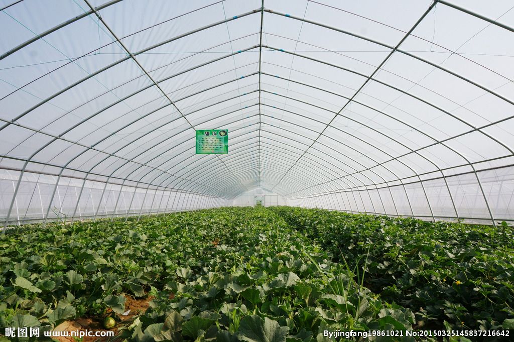 農業品牌策劃 農業品牌策劃