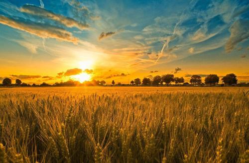 品牌定位,農業品牌定位 品牌定位,農業品牌定位