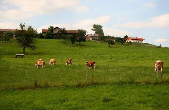 農業品牌定位 農業品牌定位