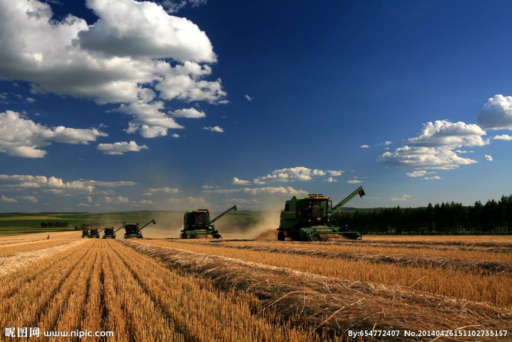 農業品牌策劃 農業品牌策劃