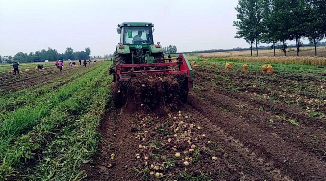 農業品牌策劃 農業品牌策劃