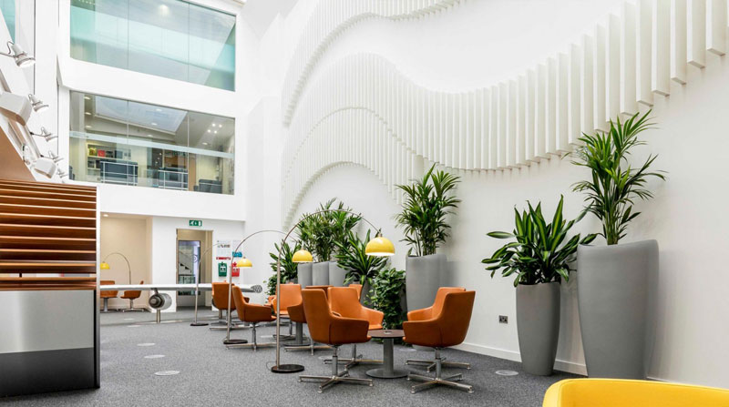 辦公室綠植擺放講究_綠植風水擺放