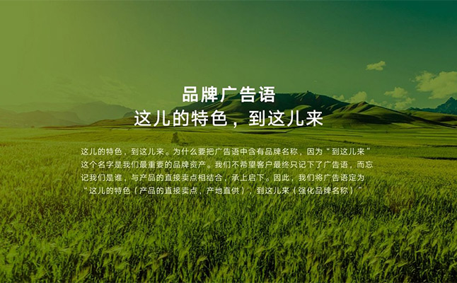 農業品牌策劃推動農業品牌發展 農業品牌策劃推動農業品牌發展