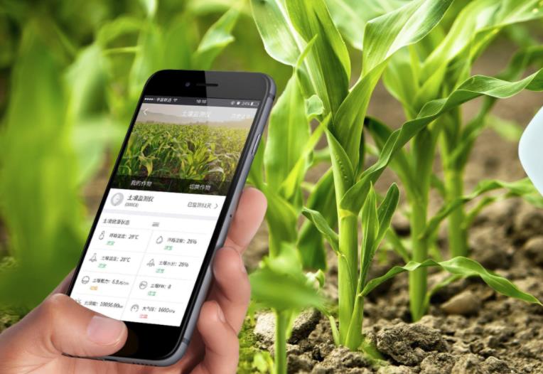 農業發展戰略策劃 農產品品牌策劃設計公司