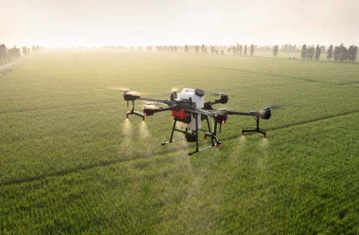 農業發展戰略策劃 農產品品牌策劃設計公司