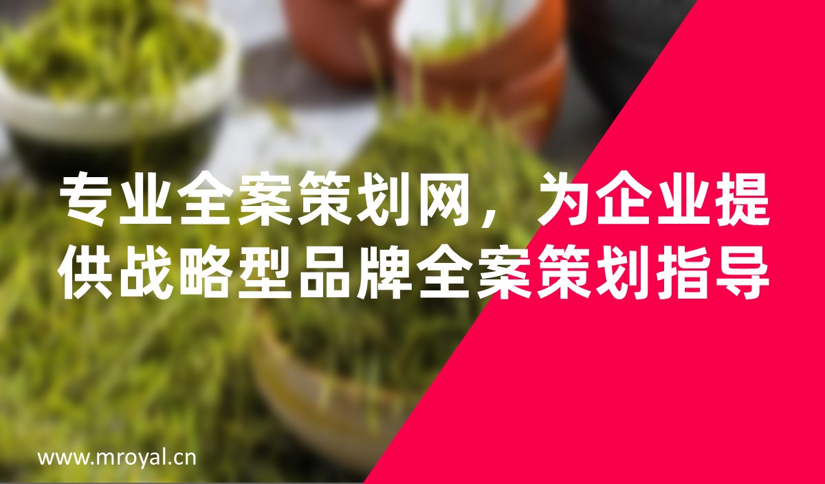 專業(yè)全案策劃網(wǎng)，為企業(yè)提供戰(zhàn)略型品牌全案策劃指導(dǎo)