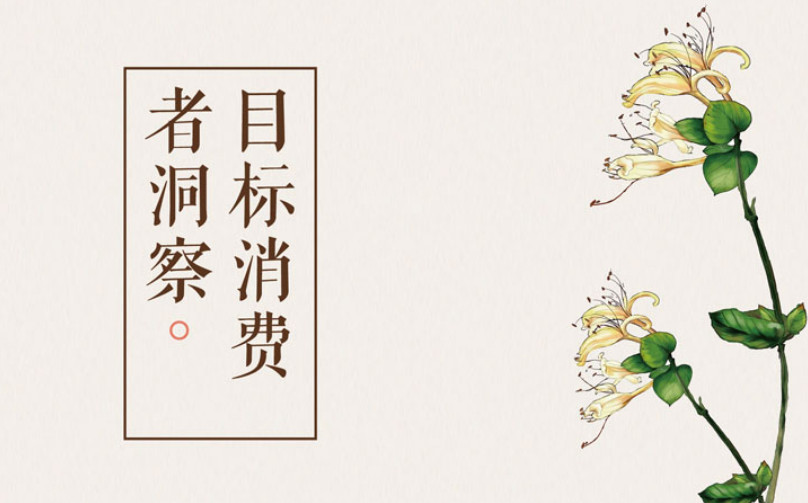 中醫理療品牌全案策劃