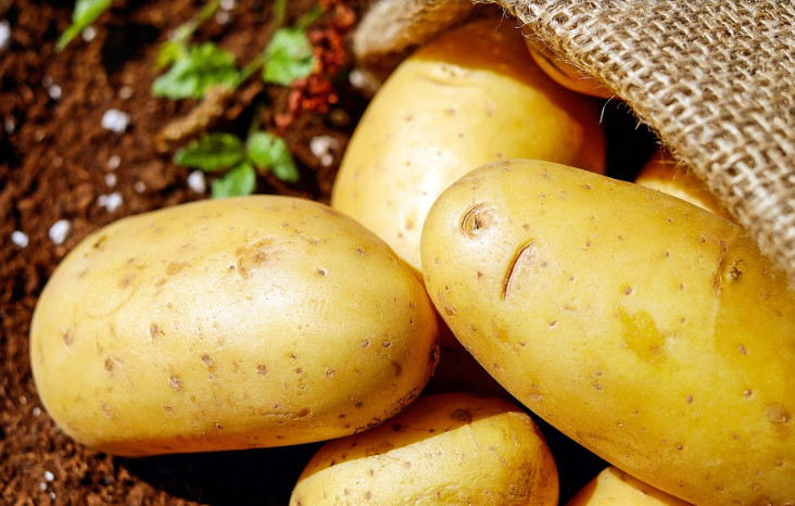 品牌全案設(shè)計(jì)如何賦予品牌象征意義與情感價(jià)值