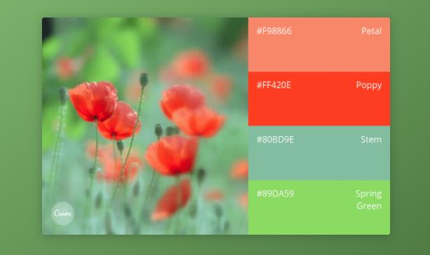 品牌全案設計師如何找到完美的色彩組合