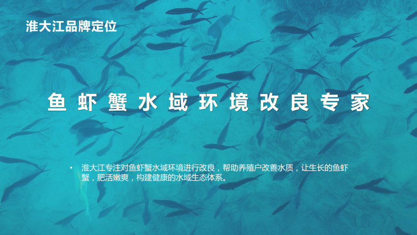 水產動保品牌全案策劃設計