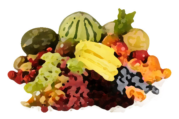 精品水果品牌設計 ，精品水果的王牌設計