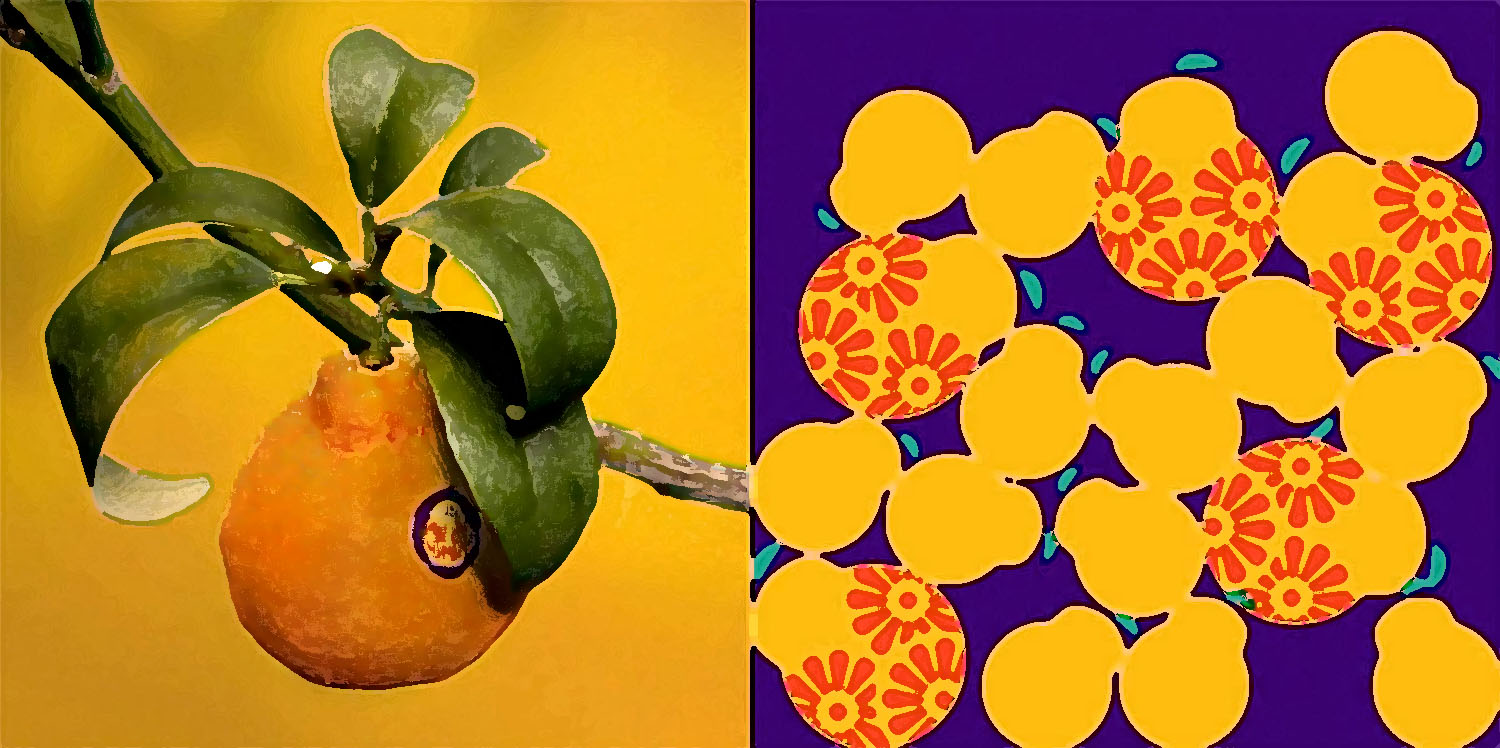 水果品牌設(shè)計(jì)關(guān)鍵就是色彩搭配