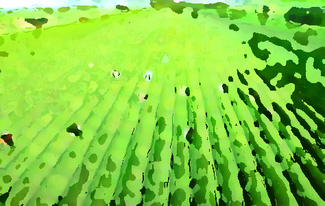 農(nóng)業(yè)品牌提升機(jī)構(gòu)，促進(jìn)農(nóng)業(yè)農(nóng)村經(jīng)濟(jì)轉(zhuǎn)型