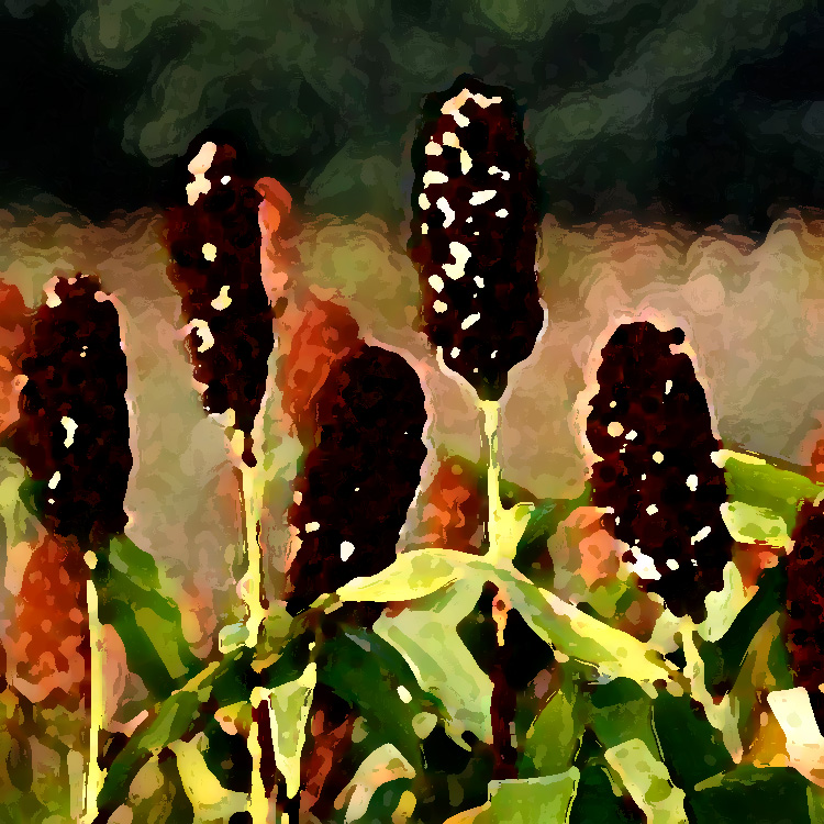 農(nóng)業(yè)老品牌提升，讓品牌強(qiáng)起來