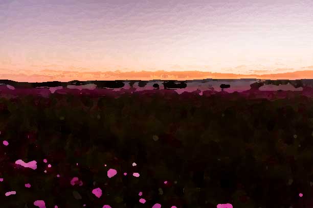 化妝品全案策劃公司應該建立怎樣的形象？