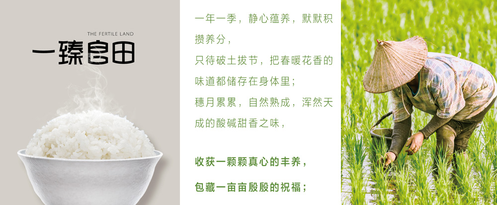 一甄良田大米認養(yǎng)模式策劃_大米品牌全案策劃 - 上海美御