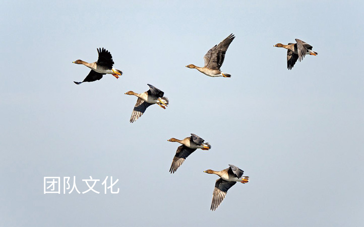 醫藥行業logo設計