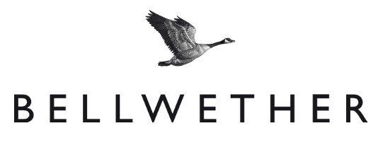 BELLWETHER 品牌戰(zhàn)略咨詢(xún)公司