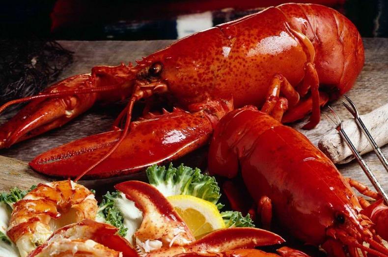 上海餐飲設計公司 您的最佳餐飲創業伴侶