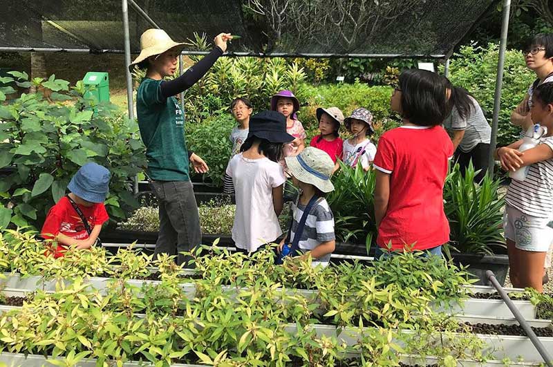 都市品牌農業 都市品牌農業