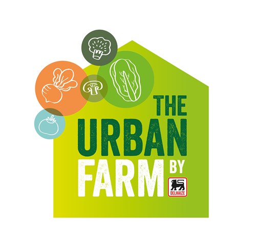 一套時尚的農業品牌設計，設計簡潔明了，用色鮮明，讓人看了過目不忘，值得搞農業品牌朋友學習交流。