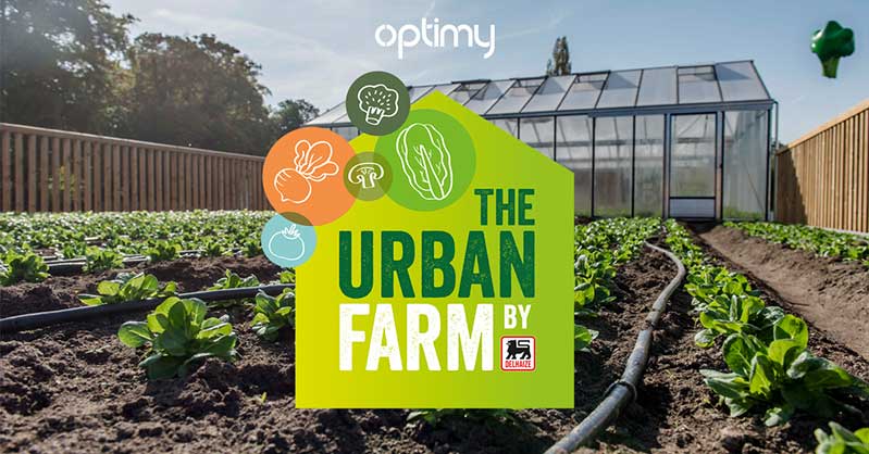 一套時尚的農業品牌設計，設計簡潔明了，用色鮮明，讓人看了過目不忘，值得搞農業品牌朋友學習交流。