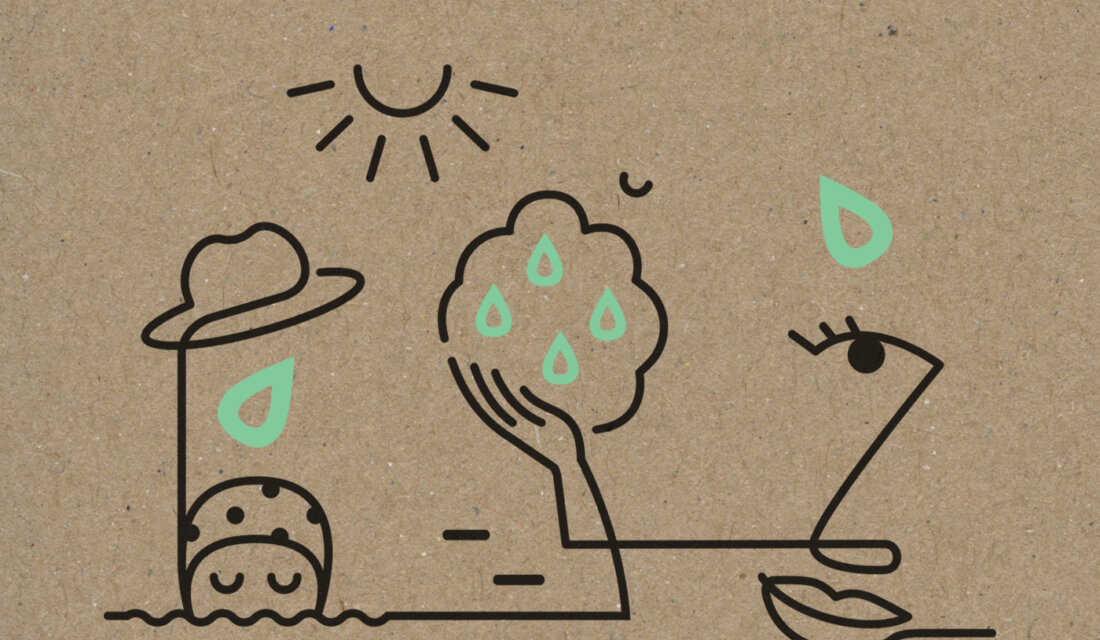 牛油果護膚品包裝設計