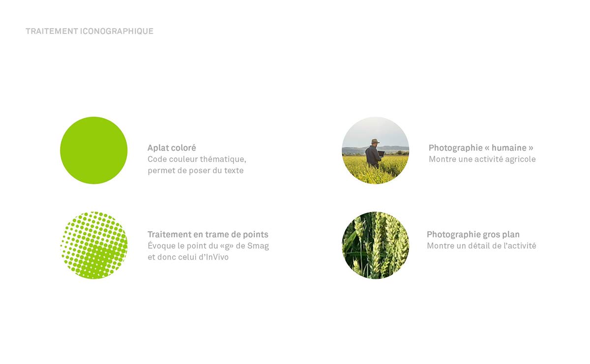 農(nóng)業(yè)品牌vi設(shè)計