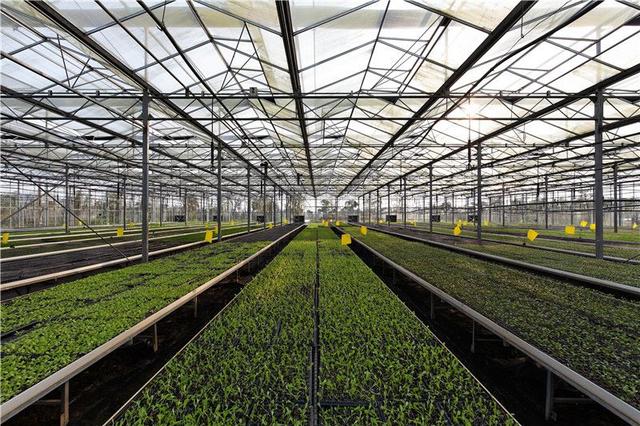 138698871.jpg 138698871.jpg