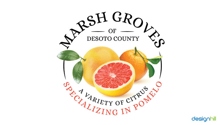 農業(yè)品牌建設