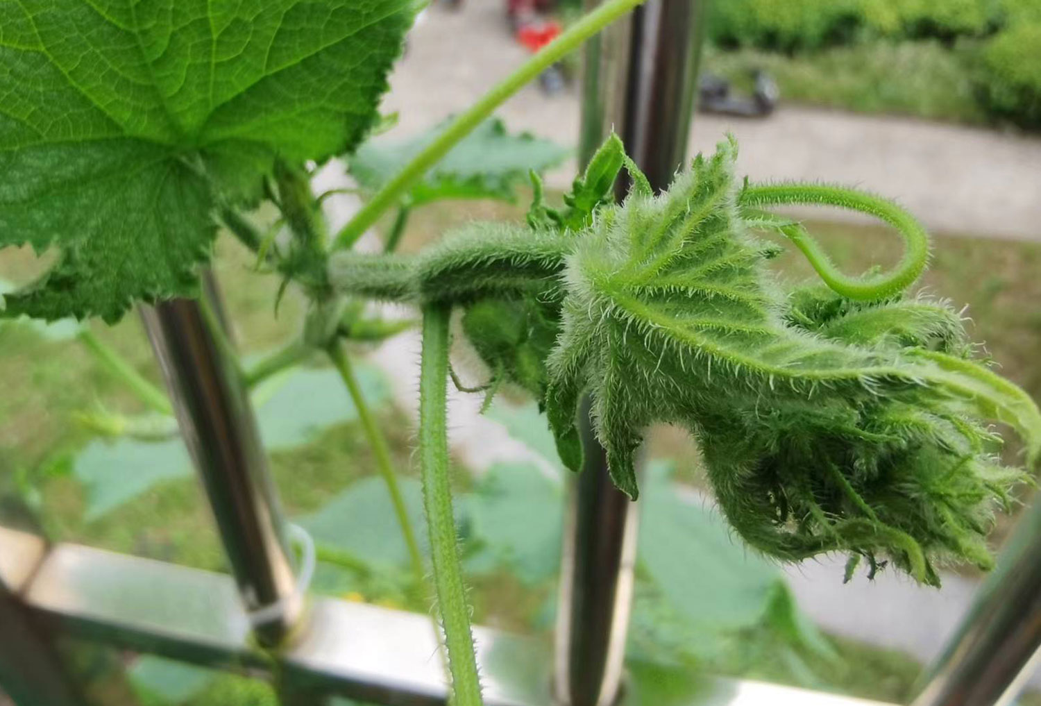 農產品公司如何策劃有競爭力的品牌定位 農產品公司如何策劃有競爭力的品牌定位