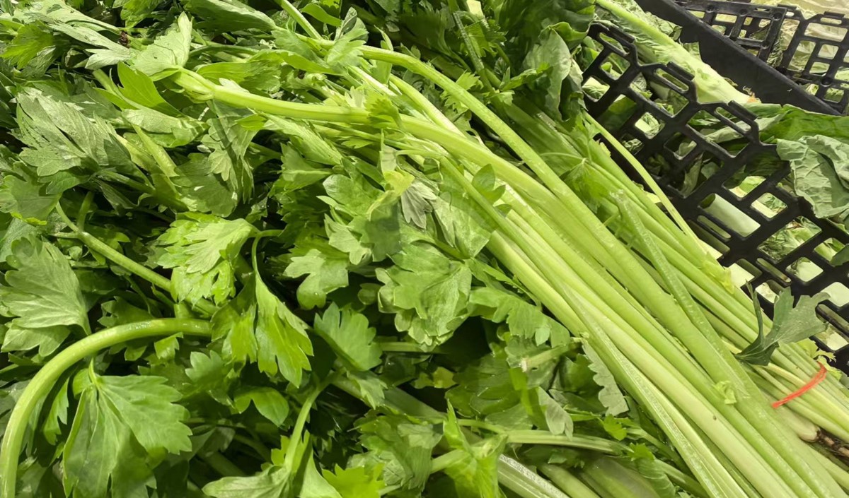 蔬菜農產品如何制定品牌定位戰略