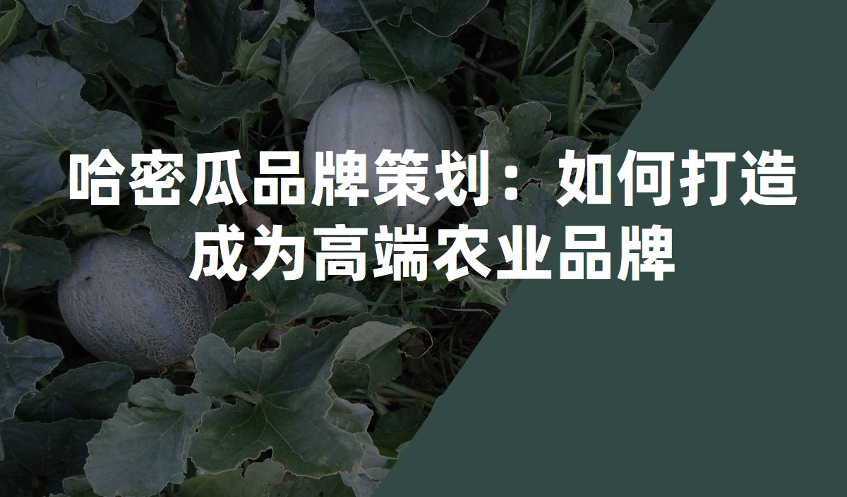 哈密瓜品牌策劃：如何打造成為高端農業品牌