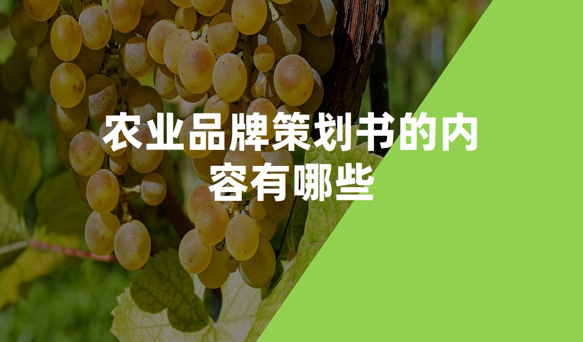 農業品牌策劃書的內容有哪些