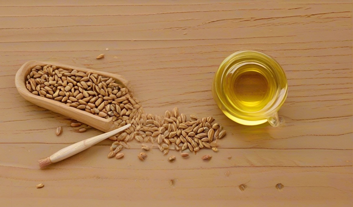 美御品牌全案策劃深度分析亞麻籽油行業的品牌策劃思路