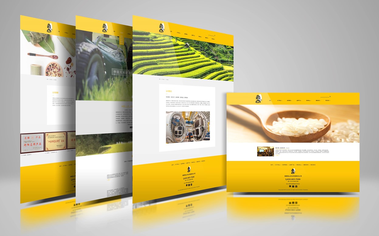 大米行業趨勢與新品牌策劃策略