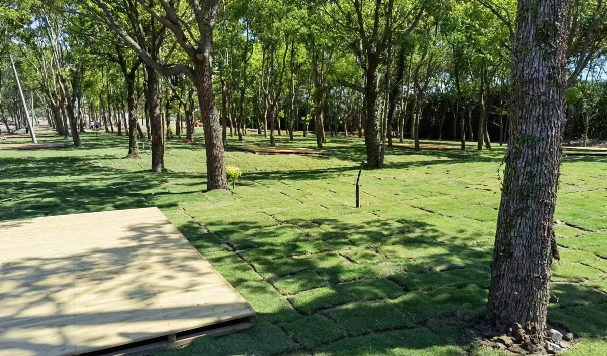 農(nóng)業(yè)品牌化：從田間地頭到價值高地的戰(zhàn)略躍升