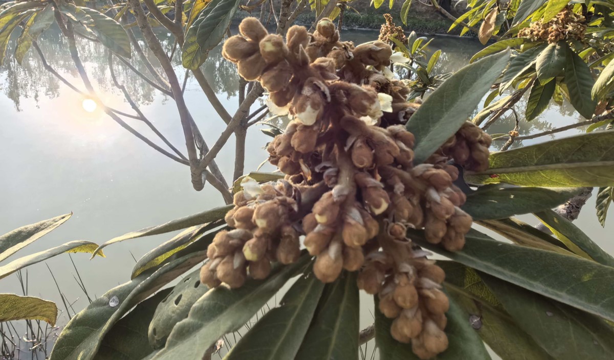 農(nóng)業(yè)品牌策劃公司